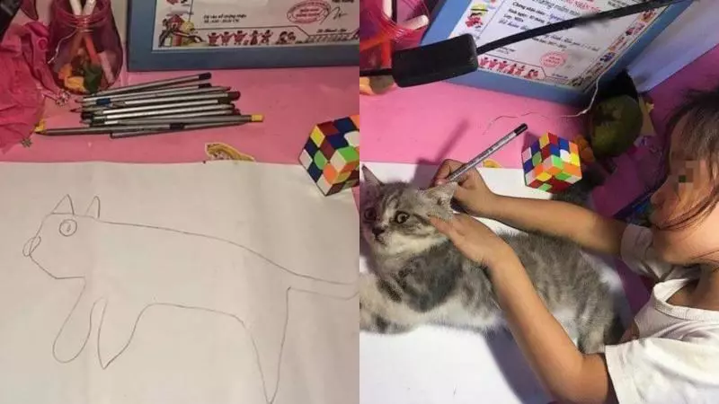 學校繪圖作業 女兒這樣畫讓人笑噴:傻眼貓咪