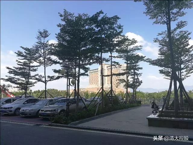 努力吧!成功是逼出來的!