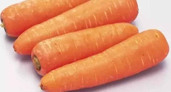 狗狗吃樹葉啃牆角,別只是一味地阻止,這是需要治療的異食癖
