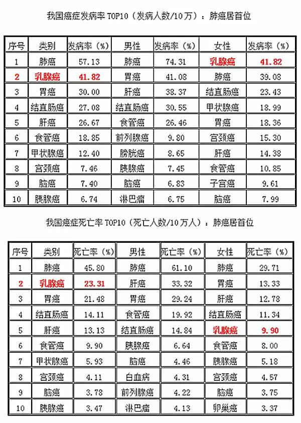 狗狗也會得乳腺癌,風險竟是女性的3倍!這些症狀不容忽視