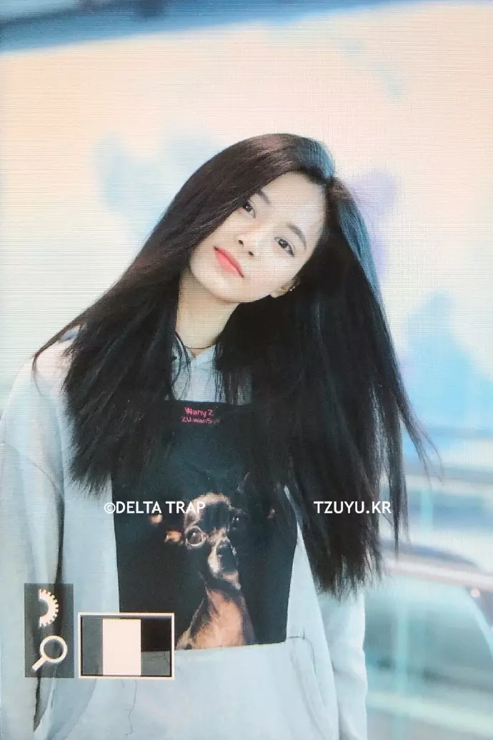 [TWICE][分享]181130 2018 Tumblr KPOP愛豆人氣順位排行公開TOP50唯一女愛豆MOMO醬！