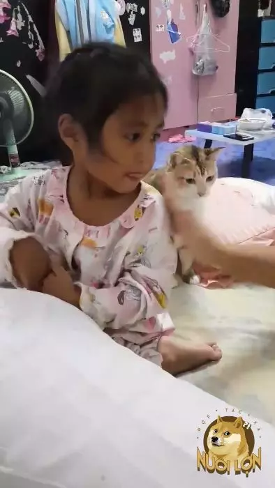 幹什麼~小奴才被罵「喵皇急伸手」!大聲怒吼:竟敢動朕的人