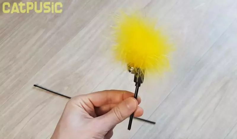 「貓咪不看鏡頭」怎麼辦!網友分享「超簡單一招」自拍絕對成功:太實用~