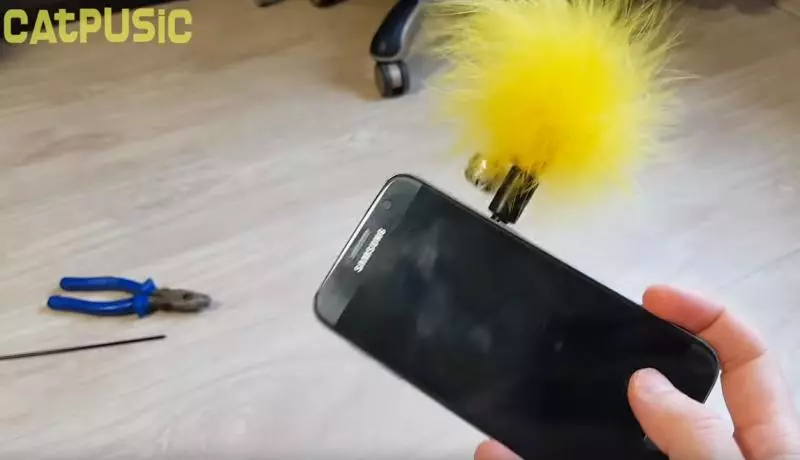 「貓咪不看鏡頭」怎麼辦!網友分享「超簡單一招」自拍絕對成功:太實用~