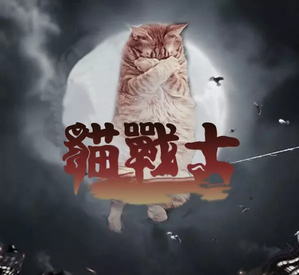 貓生無奈《掩面熟睡的喵星人》,小眠一下被網友們玩成了特務!