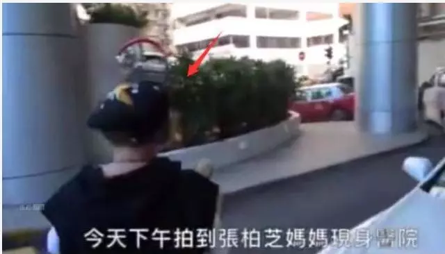 張柏芝有喜早有徵兆?5月被拍孕肚明顯,男友疑為65歲富豪!