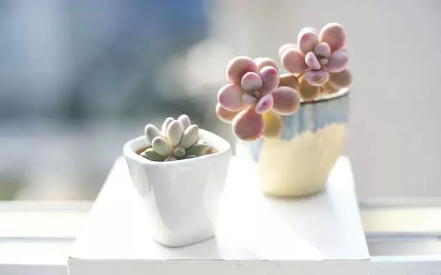 時間在變,人也在變,懂你的人,不必解釋!不懂你的人,不配你解釋 人生在世,不如意事十有八九,但心境皆