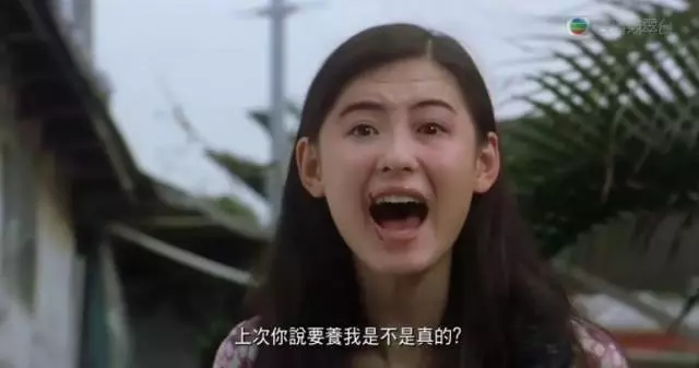 張柏芝生子羅生門背後,依然是她任性自我的人生啊!