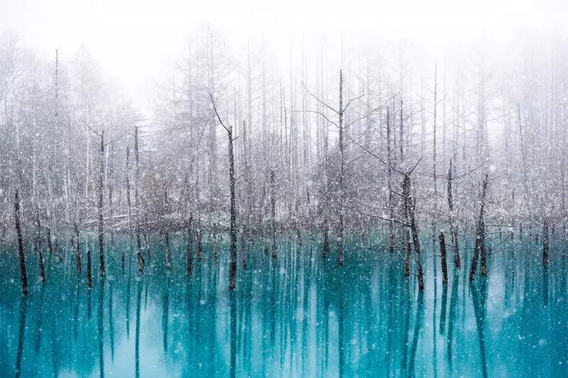 北海道青池初落雪美到不似人間 一到夜晚瞬間「變成魔幻風景」