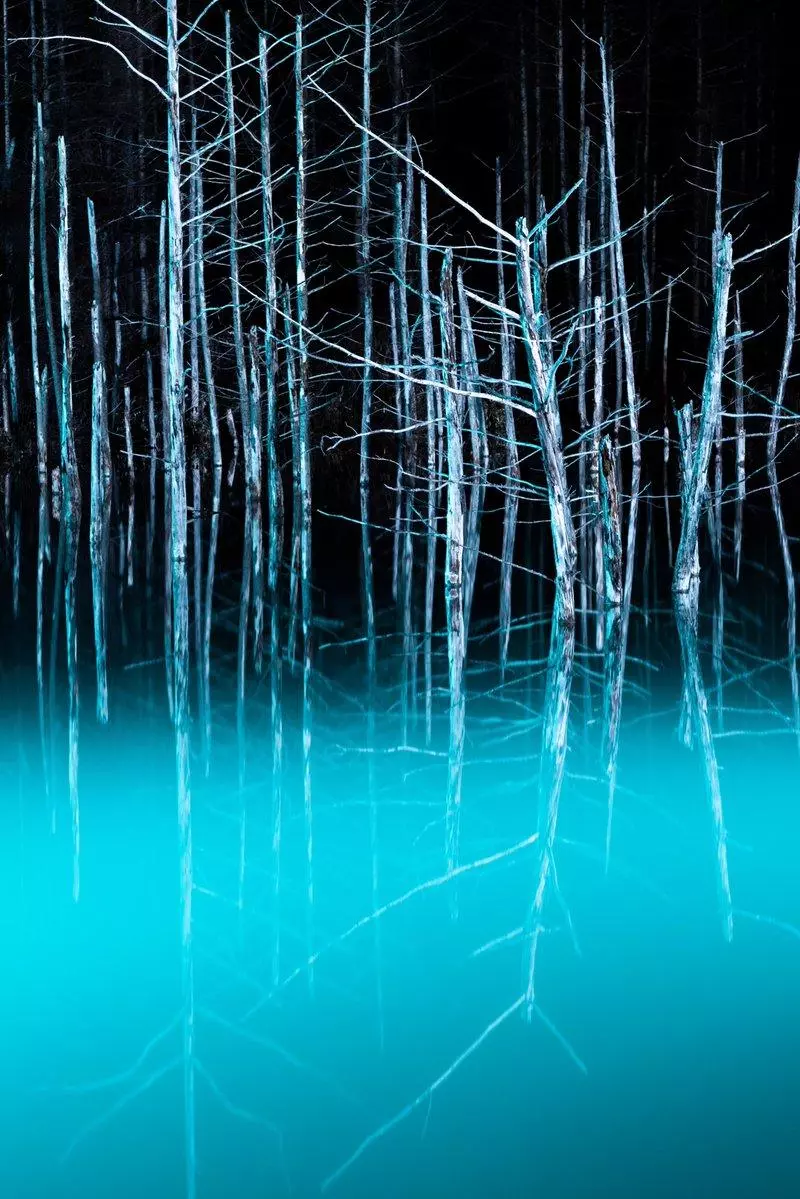 北海道青池初落雪美到不似人間 一到夜晚瞬間「變成魔幻風景」