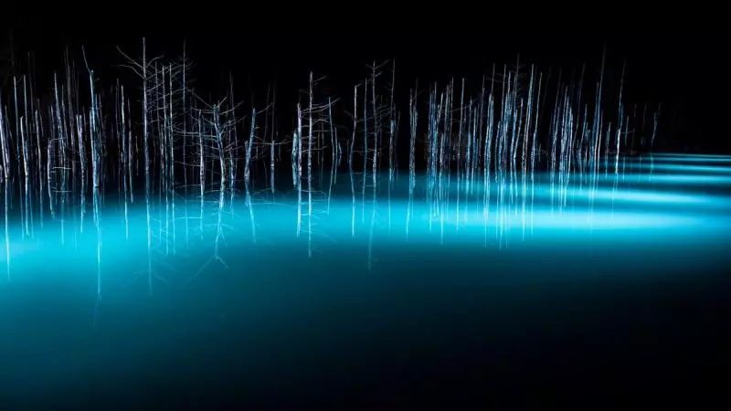 北海道青池初落雪美到不似人間 一到夜晚瞬間「變成魔幻風景」