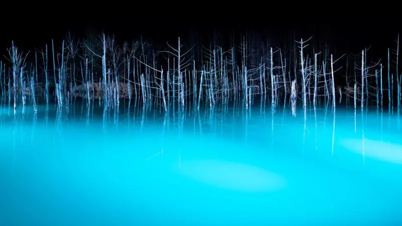 北海道青池初落雪美到不似人間 一到夜晚瞬間「變成魔幻風景」