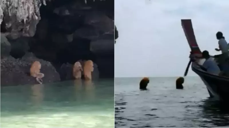影/泰國岩洞見猿人毛怪吹笛 詭異片百萬網友張嘴看