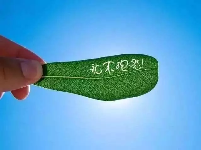 人生路上一定要膽大心細臉皮厚