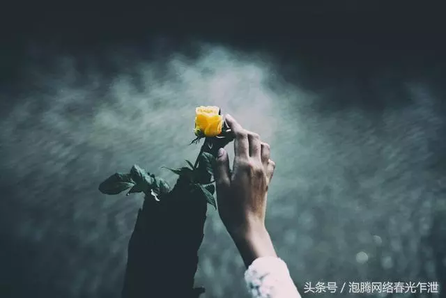 前婆婆,就你和你兒子這樣的人,我要是答應復婚,就是傻子了