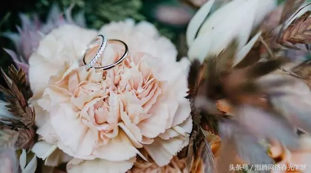 前婆婆,就你和你兒子這樣的人,我要是答應復婚,就是傻子了