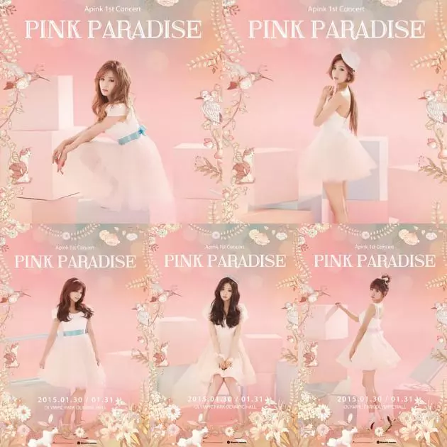 APINK榮獲Melon十大歌手獎,宣布即將回歸,屆時還會舉辦演唱會!
