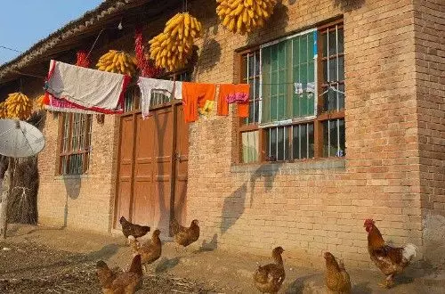 女兒難產,母親給一萬手術費,婆婆假裝繳費溜回村,推開門,蒙了
