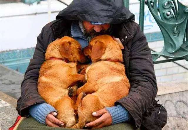忠犬多年前被美國警察相救,主人淪落為流浪漢後,狗狗堅持相伴