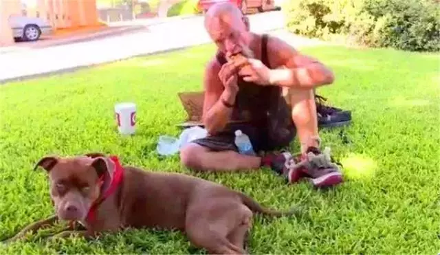 忠犬多年前被美國警察相救,主人淪落為流浪漢後,狗狗堅持相伴