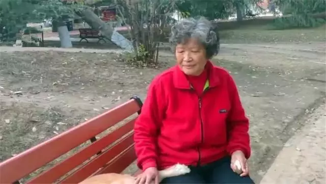 導盲犬在公園等主人歸來,卻不知爺爺早已病逝,奶奶在旁耐心陪伴