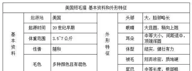 帶你認識貓的品種(一)