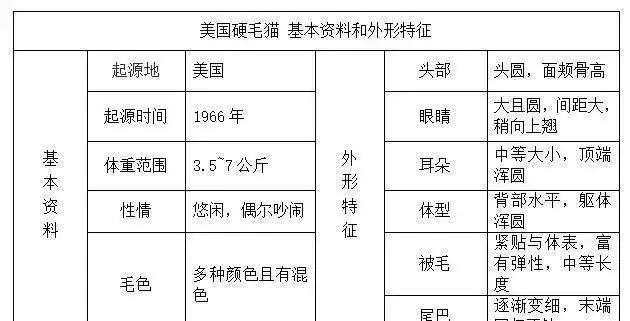 帶你認識貓的品種(一)