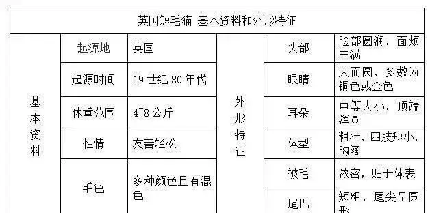 帶你認識貓的品種(一)