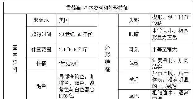 帶你認識貓的品種(一)