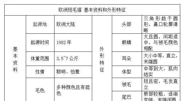 帶你認識貓的品種(一)