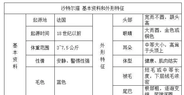 帶你認識貓的品種(一)
