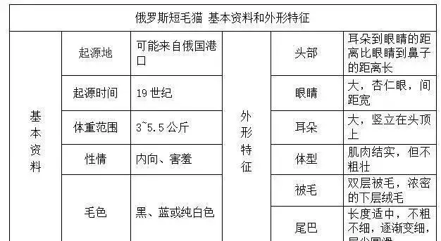帶你認識貓的品種(一)