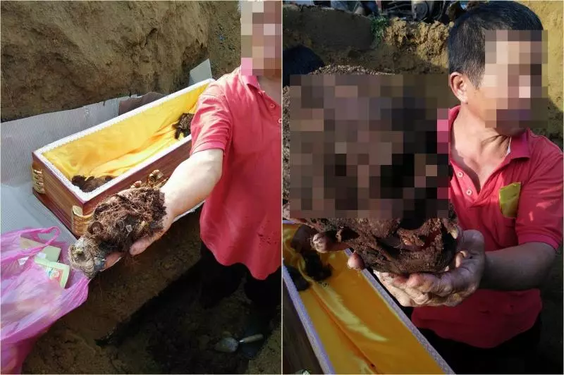家族成員相繼出事,乩童警告「祖先成蔭屍」,挖墳驚見屍骨「有殘肉還長尖牙」:開始吃子孫!