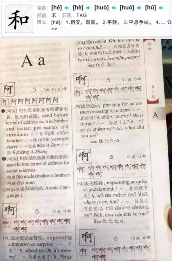 笑岔氣哈哈哈!歐洲老闆太瘋狂,服務員6點起床學中文