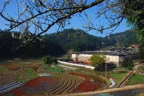 中國式奇蹟的古堡,漂浮沼澤上百年,無人居住卻不見蜘蛛網!