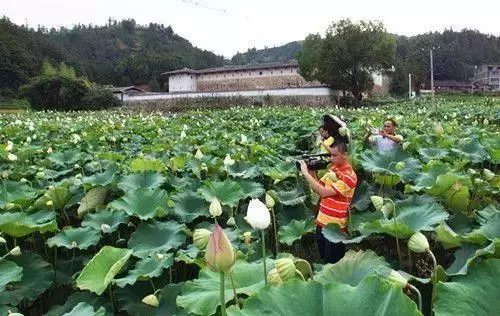 中國式奇蹟的古堡,漂浮沼澤上百年,無人居住卻不見蜘蛛網!