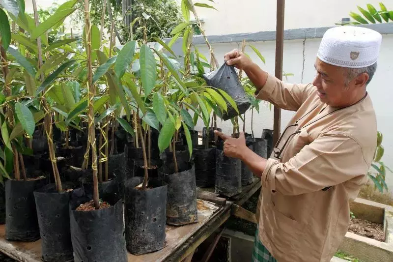貓山王遇強敵,收成僅用3年口感卻一樣好,最重要的是價格太實在了!