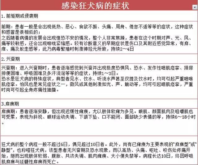 闢謠!狂犬病潛伏期長達20年?一發作就會學狗叫亂咬人?