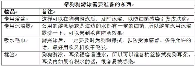 闢謠!狗狗天生會游泳,直接扔下水也不會被淹?