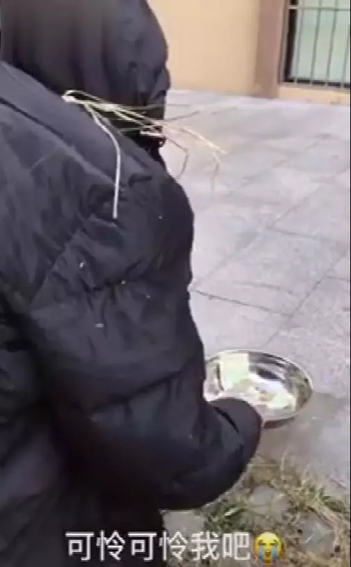 網紅金毛拿出十元錢帶著把拔買零食,轉角處遇到乞丐,金金急忙將口中金錢施捨:好有愛!