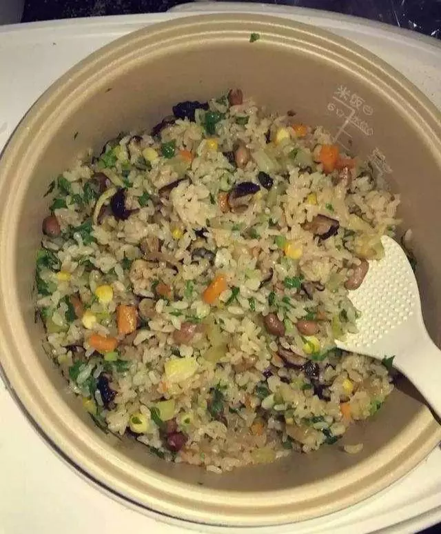 6種燜飯做法,紅燒肉燜飯、海鮮燜飯、洋芋燜飯美味呀
