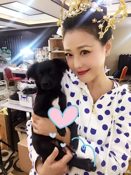 與10多年男友因結婚分開 周海媚不婚不育原因曝光