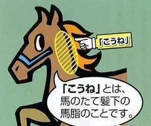 大家超愛用的「日本馬油」效用大公開,大開眼界,之前實在是太浪費了!