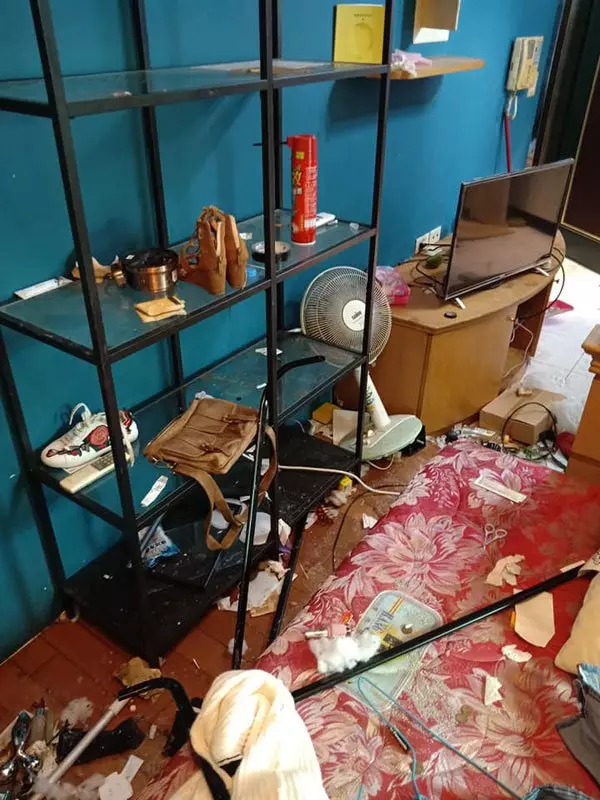 生日慘遇惡房客 房屋如戰後場景 |