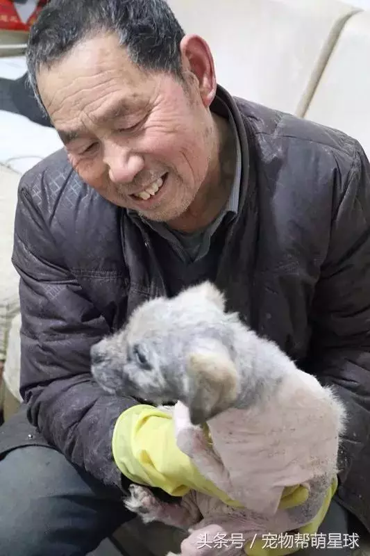7旬孤寡老人抱著狗狗求人模樣,讓人心酸動容