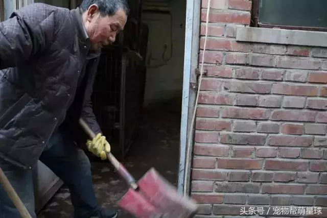 7旬孤寡老人抱著狗狗求人模樣,讓人心酸動容
