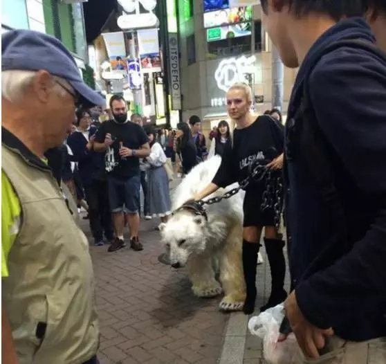 女子帶著幾百斤的愛寵逛街,路人不太在意,等看分明後不淡定了 !