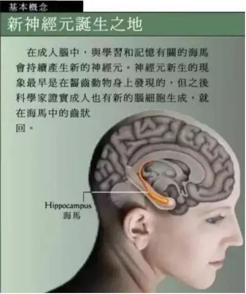 洪蘭教授:開發孩子大腦最高效的三個方式:運動、閱讀和遊戲!