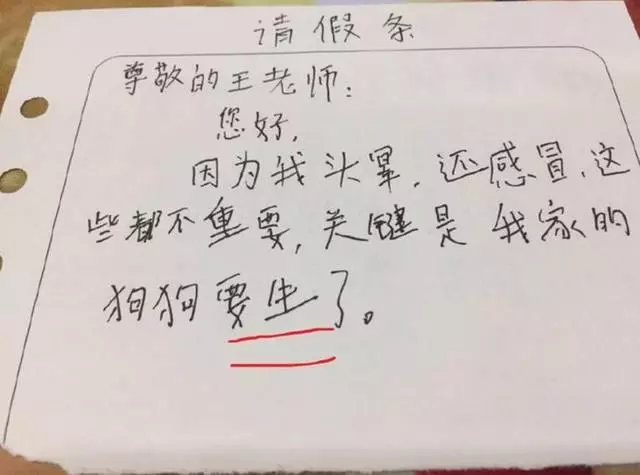 媽媽看了兒子造句,立馬要離婚,老師竟給滿分?爸爸卻不敢回家