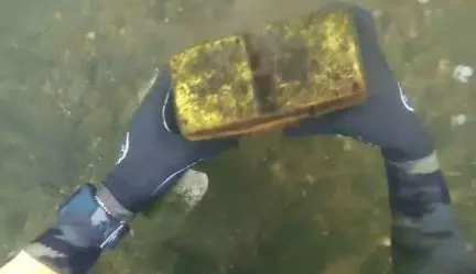 情侶叢林探險,發現一棵樹不對勁,走近一瞧,男子拿出一把刀 !
